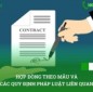 Hợp đồng theo mẫu và các quy định pháp luật liên quan