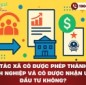 Hợp tác xã có được phép thành lập doanh nghiệp và có được nhận ưu đãi đầu tư không?