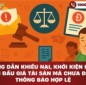 Hướng dẫn khiếu nại, khởi kiện khi bị bán đấu giá tài sản mà chưa được thông báo hợp lệ