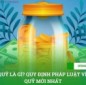 Ký quỹ là gì? Quy định pháp luật về ký quỹ mới nhất