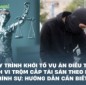 Quy trình khởi tố vụ án điều tra hành vi trộm cắp tài sản theo luật hình sự: Hướng dẫn cần biết