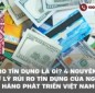 Rủi ro tín dụng là gì? 4 nguyên tắc xử lý rủi ro tín dụng của Ngân hàng Phát triển Việt Nam