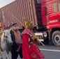 “Thầy trò Đường Tăng” cưỡi ngựa vào làn ô tô để thực hiện di nguyện, có bị xử phạt?