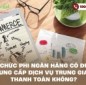 Tổ chức phi ngân hàng có được cung cấp dịch vụ trung gian thanh toán không?