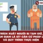 Trích xuất người bị tạm giữ, tạm giam là gì? Căn cứ pháp lý và quy trình thực hiện