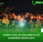 Từ vụ 40 nam nữ thanh niên đua xe trái phép ở Sài Gòn bàn về vấn đề pháp lý liên quan đến việc đua xe trái phép