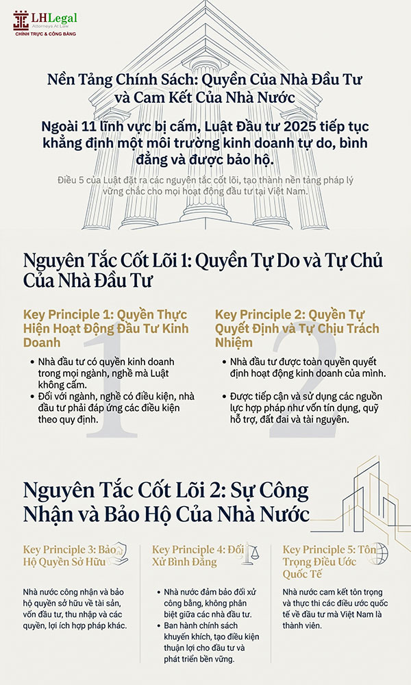 Infographic: 11 ngành, nghề cấm đầu tư kinh doanh theo Luật Đầu tư 2025