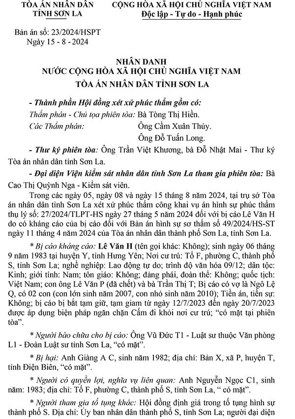 Bản án số 23/2024/HS-PT ngày 15/8/2024 về tội buôn bán hàng giả