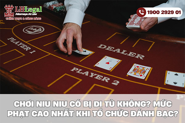 Chơi Niu Niu có bị đi tù không? Mức phạt cao nhất khi tổ chức đánh bạc?