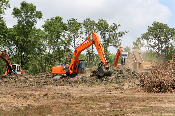 Sử dụng đất ổn định được xác định dựa trên mục đích chính của việc sử dụng đất