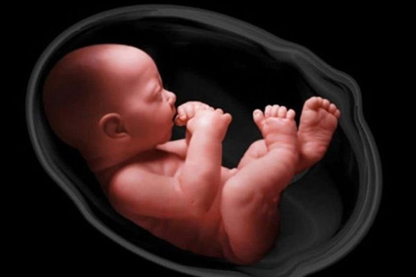 Cưỡng ép người khác phá thai có thể bị xử phạt đến 12 triệu đồng