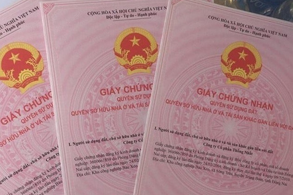 Hộ gia đình được nông lâm trường giao đất trước 1/7/2004 để làm nhà và sản xuất, nay được cấp giấy chứng nhận quyền sử dụng đất mà không phải nộp tiền sử dụng đất