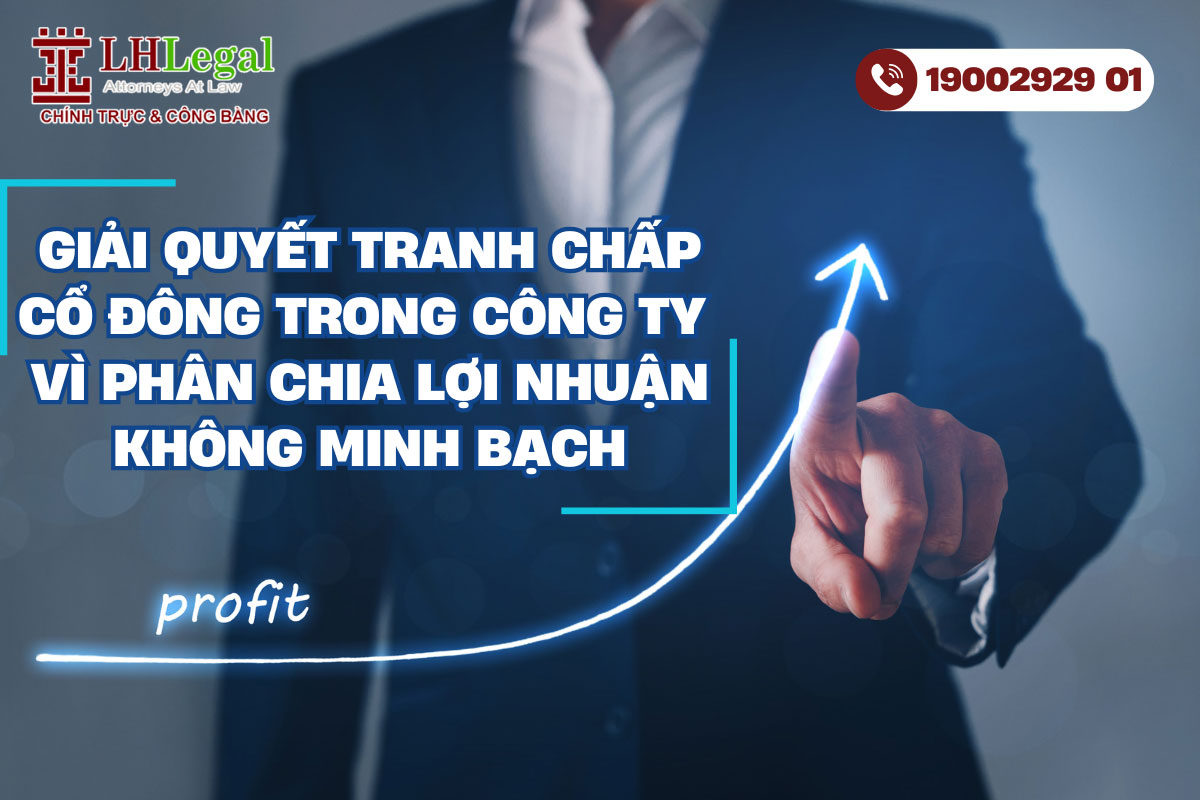 Giải quyết tranh chấp cổ đông trong công ty vì phân chia lợi nhuận không minh bạch