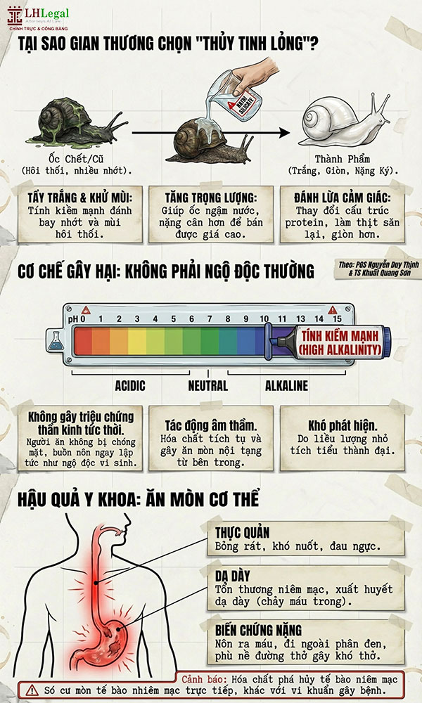Infographic: Ngâm ốc bằng thủy tinh lỏng bị xử phạt như thế nào?