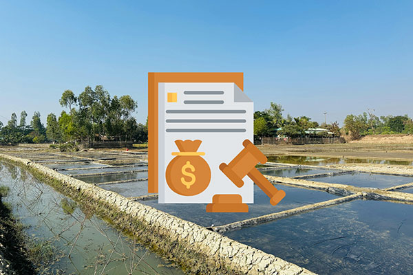 Nếu không sử dụng đất nuôi trồng thủy sản trong 12 tháng liên tục có thể bị phạt đến 40 triệu 