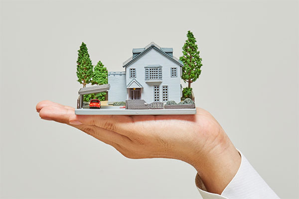 Người tham gia đấu giá được xem tài sản đấu giá hoặc mẫu tài sản