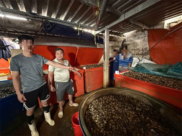 Huỳnh Văn Trường và những người liên quan bị bắt quả tang đang ngâm ốc với hóa chất