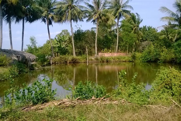 Phần diện tích đất Nhà nước thu hồi thì không được xác định lại đất