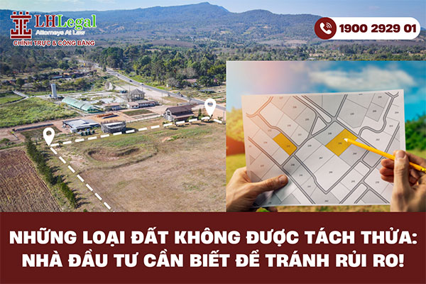 Những loại đất không được tách thửa: Nhà đầu tư cần biết để tránh rủi ro!
