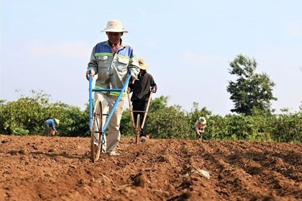 Những trường hợp được miễn thuế sử dụng đất nông nghiệp đến hết năm 2030
