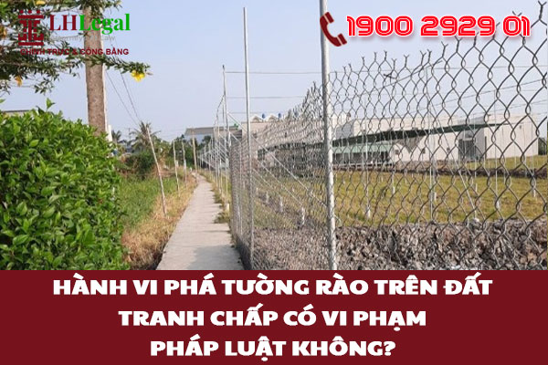 Hành vi phá tường rào trên đất tranh chấp có vi phạm pháp luật không?