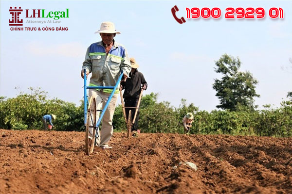 Người sử dụng đất được sử dụng đất ổn định lâu dài khi đáp ứng các điều kiện của pháp luật