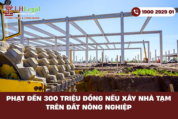 Phạt đến 300 triệu đồng nếu xây nhà tạm trên đất nông nghiệp