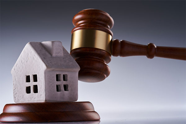 Tổ chức đấu giá phải thông báo công khai về việc đấu giá