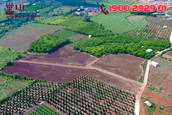 Chuyển rừng trồng sang đất phi nông nghiệp có thể bị phạt từ 3 triệu đến 250 triệu