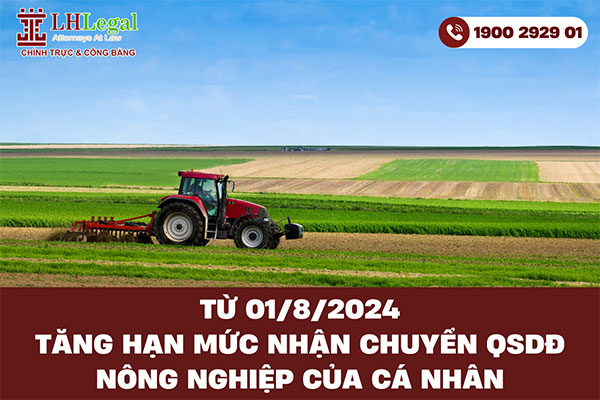 Từ 01/8/2024: Tăng hạn mức nhận chuyển QSDĐ nông nghiệp của cá nhân