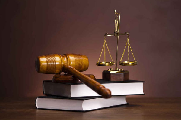 Tòa án cấp sơ thẩm đã buộc các đồng bị đơn phải liên đới bồi thường cho gia đình bị hại
