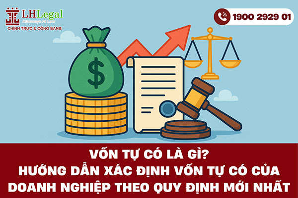 Vốn tự có là gì? Hướng dẫn xác định vốn tự có của doanh nghiệp theo quy định mới nhất