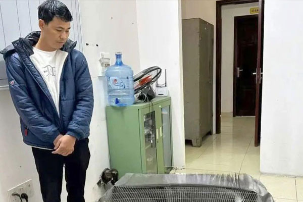 Vụ án 6 năm tù vì nuôi bán 13 con gà lôi trắng: Có tình tiết giảm nhẹ trách nhiệm hình sự?