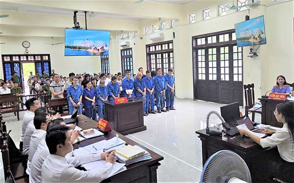 Vụ Đồ hộp Hạ Long: Gần 197 tấn thịt lợn nhiễm dịch vào nhà máy, 17 bị cáo lĩnh án