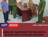 Anna Bắc Giang Ninh Thị Vân Anh bị đề nghị truy tố hai tội danh 