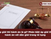 Áp giải thi hành án là gì? Phân biệt áp giải thi hành án  với dẫn giải trong tố tụng
