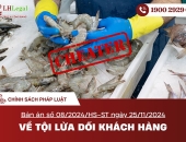 Bản án số 08/2024/HS-ST ngày 25/11/2024 Về tội lừa dối khách hàng