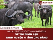 Bản án 27/2023/HS-ST ngày 14/12/2023 về tội buôn lậu