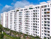 Bị phạt gần 120 tỉ vì không xuất hóa đơn - Ban quản trị chung cư có thực sự sai luật?