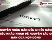 Nguyên nhân dẫn đến nhiều cách hiểu khác nhau về nguyên tắc cơ bản của hợp đồng