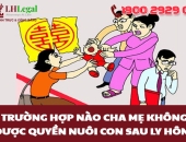 Trường hợp nào cha mẹ không được quyền nuôi con sau ly hôn?