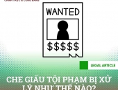 Che giấu tội phạm bị xử lý như thế nào?