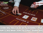 Chơi Niu Niu có bị đi tù không? Mức phạt cao nhất khi tổ chức đánh bạc?