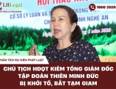 Chủ tịch HĐQT kiêm Tổng Giám đốc Tập đoàn Thiên Minh Đức bị khởi tố, bắt tạm giam