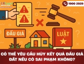 Có thể yêu cầu hủy kết quả đấu giá đất nếu có sai phạm không?