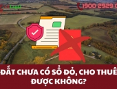 Đất chưa có sổ đỏ, cho thuê được không?