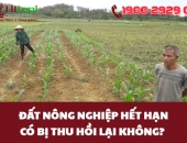 Đất nông nghiệp hết hạn có bị thu hồi lại không?