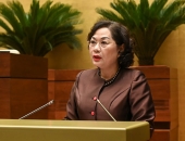 Đề xuất cấp quyền đặc biệt cho Ngân hàng Nhà nước cho vay 0% không cần tài sản thế chấp