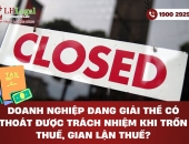 Doanh nghiệp đang giải thể có thoát được trách nhiệm khi trốn thuế, gian lận thuế?