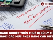Doanh nghiệp trốn thuế bị xử lý thế nào? Các mức phạt nặng cần biết